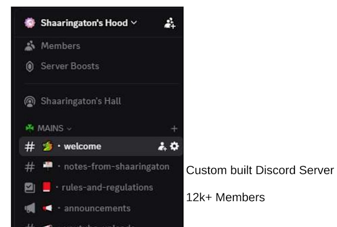 develop , manage, administrate your discord server